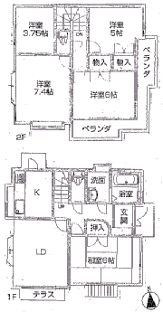 5337画像